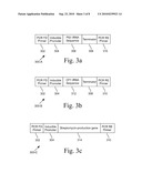 Photobiological hydrogen production with switchable photosystem-II designer algae diagram and image