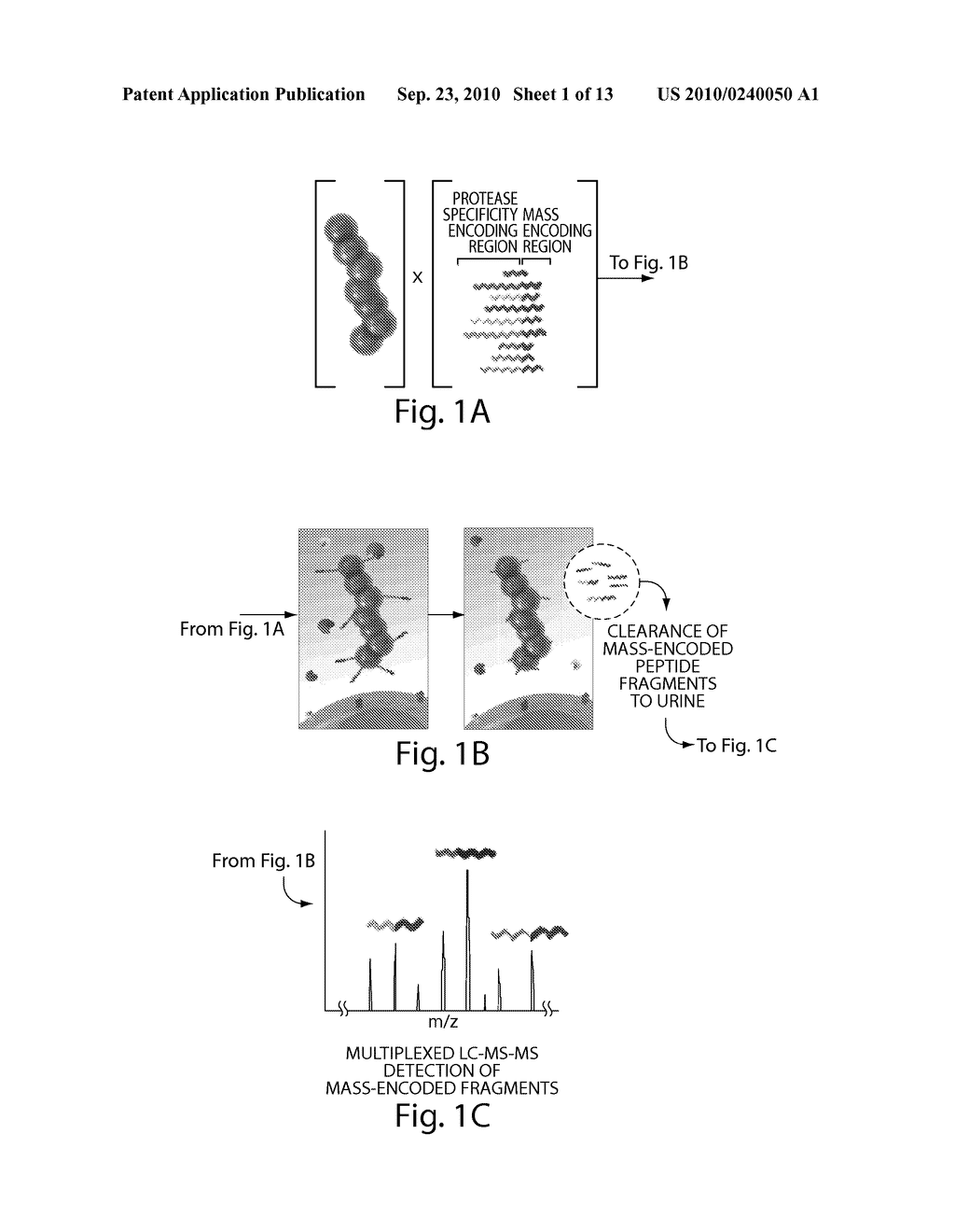 Methods and Products For In Vivo Enzyme Profiling - diagram, schematic, and image 02