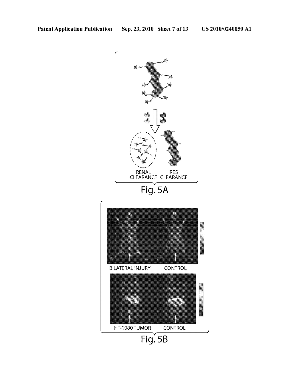 Methods and Products For In Vivo Enzyme Profiling - diagram, schematic, and image 08