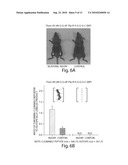 Methods and Products For In Vivo Enzyme Profiling diagram and image