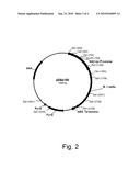 Polypeptides having cellobiohydrolase II activity and polynuleotides encoding same diagram and image