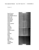 NOVEL HEMOPOIETIN RECEPTOR PROTEIN, NR10 diagram and image