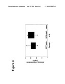 MAMMALIAN EXPRESSION VECTOR WITH A HIGHLY EFFICIENT SECRETORY SIGNAL SEQUENCE diagram and image