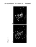 Differentiation and Enrichment of Islet-like Cells from Human Pluripotent Stem Cells diagram and image