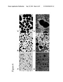 Differentiation and Enrichment of Islet-like Cells from Human Pluripotent Stem Cells diagram and image