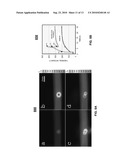 ENERGETIC MATERIAL DETECTOR diagram and image