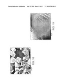 IMPROVED SERRS SUBSTRATE diagram and image