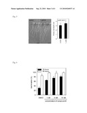 Substituted 6-(alkylbenzylamino)purine derivatives for use as cytokinin receptor antagonists and preparations containing these derivatives diagram and image