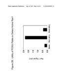 Detection Of Rho Proteins diagram and image