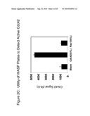 Detection Of Rho Proteins diagram and image