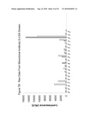 Detection Of Rho Proteins diagram and image