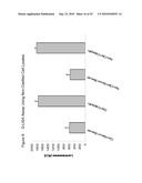 Detection Of Rho Proteins diagram and image