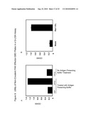 Detection Of Rho Proteins diagram and image