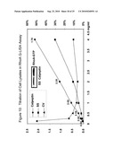 Detection Of Rho Proteins diagram and image