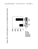 Detection Of Rho Proteins diagram and image