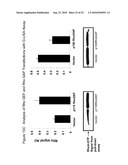 Detection Of Rho Proteins diagram and image