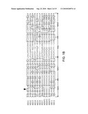 Heyl as a Therapeutic Target and a Diagnostic Marker for Neoplasia and Uses Therefor diagram and image