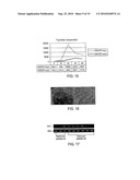 Heyl as a Therapeutic Target and a Diagnostic Marker for Neoplasia and Uses Therefor diagram and image