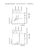 Heyl as a Therapeutic Target and a Diagnostic Marker for Neoplasia and Uses Therefor diagram and image