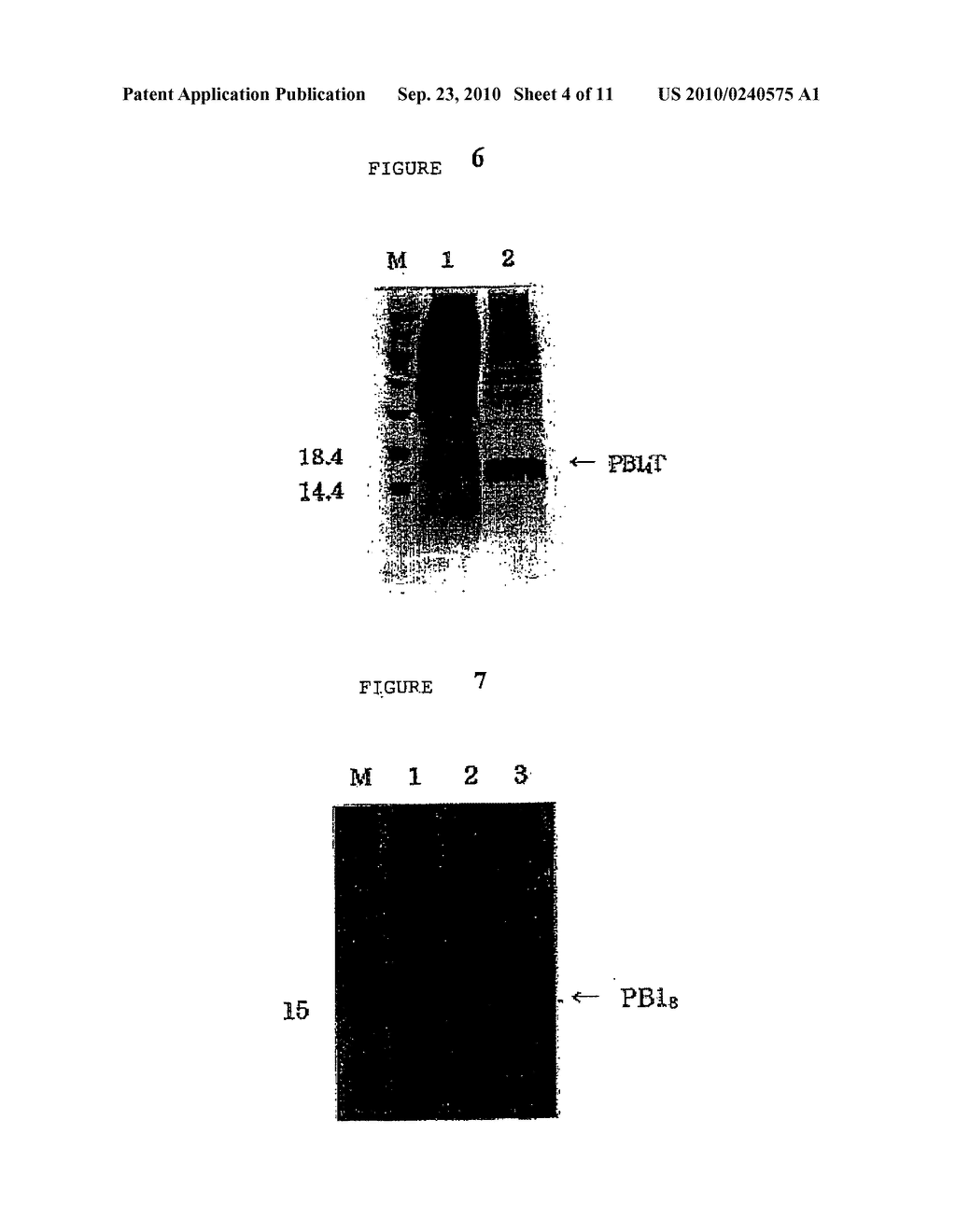 ANTI-OBESE IMMUNOGENIC HYBRID POLYPEPTIDES AND ANTI-OBESE VACCINE COMPOSITION COMPRISING THE SAME - diagram, schematic, and image 05