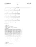 Peptides and related molecules that modulate nerve growth factor activity diagram and image