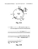 Nematode-extracted serine protease inhibitors and anticoagulant proteins diagram and image