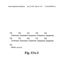 Nematode-extracted serine protease inhibitors and anticoagulant proteins diagram and image