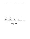 Nematode-extracted serine protease inhibitors and anticoagulant proteins diagram and image