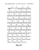 Nematode-extracted serine protease inhibitors and anticoagulant proteins diagram and image