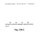 Nematode-extracted serine protease inhibitors and anticoagulant proteins diagram and image