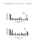 PEG MODIFIED EXENDIN OR EXENDIN ANALOG AND COMPOSITIONS AND USE THEREOF diagram and image