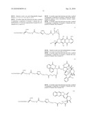 TARGETED DELIVERY OF CHEMOTHERAPEUTIC AGENTS diagram and image