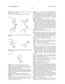 NITROGEN-CONTAINING HETEROCYCLIC DERIVATIVE HAVING 11SS-HYDROXYSTEROID DEHYDROGENASE TYPE I INHIBITORY ACTIVITY diagram and image