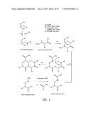 REVERSE-TURN MIMETICS AND METHOD RELATING THERETO diagram and image