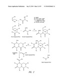 REVERSE-TURN MIMETICS AND METHOD RELATING THERETO diagram and image