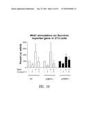 REVERSE-TURN MIMETICS AND METHOD RELATING THERETO diagram and image