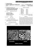 METHOD FOR CHECKING AND CONTROLLING THE MAMMALIAN LACTIC ACID FERMENTATION PROCESS/AEROBIC GLUCOSE FERMENTATION METABOLIC PATHWAY IN MAMMALIAN ORGANISM diagram and image