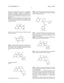 METHOD FOR CHECKING AND CONTROLLING THE MAMMALIAN LACTIC ACID FERMENTATION PROCESS/AEROBIC GLUCOSE FERMENTATION METABOLIC PATHWAY IN MAMMALIAN ORGANISM diagram and image