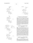 Benzimidazolone Chymase Inhibitors diagram and image