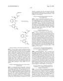 Benzimidazolone Chymase Inhibitors diagram and image