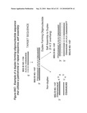 RNA Interference Mediated Inhibition of Gene Expression Using Chemically Modified Short Interfering Nucleic Acid (siNA) diagram and image