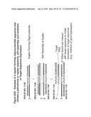 RNA Interference Mediated Inhibition of Gene Expression Using Chemically Modified Short Interfering Nucleic Acid (siNA) diagram and image