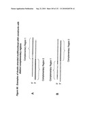 RNA Interference Mediated Inhibition of Gene Expression Using Chemically Modified Short Interfering Nucleic Acid (siNA) diagram and image