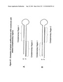 RNA Interference Mediated Inhibition of Gene Expression Using Chemically Modified Short Interfering Nucleic Acid (siNA) diagram and image