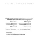 RNA Interference Mediated Inhibition of Gene Expression Using Chemically Modified Short Interfering Nucleic Acid (siNA) diagram and image