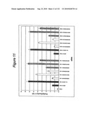 RNA Interference Mediated Inhibition of Gene Expression Using Chemically Modified Short Interfering Nucleic Acid (siNA) diagram and image