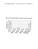 RNA Interference Mediated Inhibition of Gene Expression Using Chemically Modified Short Interfering Nucleic Acid (siNA) diagram and image