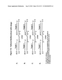 RNA Interference Mediated Inhibition of Gene Expression Using Chemically Modified Short Interfering Nucleic Acid (siNA) diagram and image