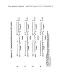 RNA Interference Mediated Inhibition of Gene Expression Using Chemically Modified Short Interfering Nucleic Acid (siNA) diagram and image