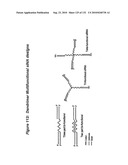 RNA Interference Mediated Inhibition of Gene Expression Using Chemically Modified Short Interfering Nucleic Acid (siNA) diagram and image